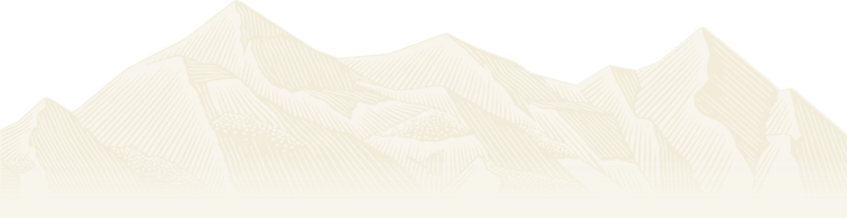 Bands in Beer Garden